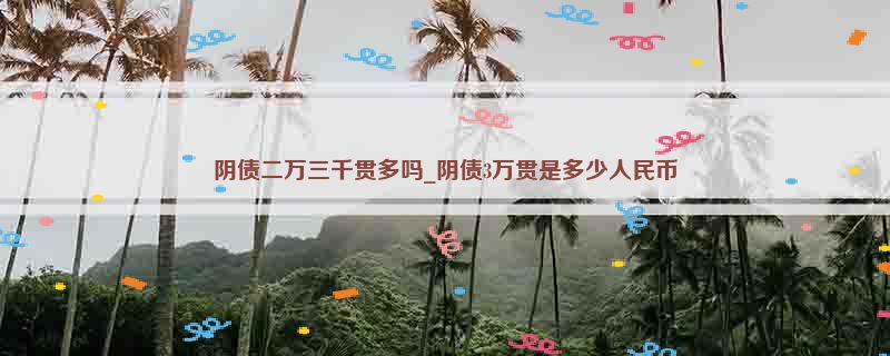 阴债二万三千贯多吗_阴债3万贯是多少人民币