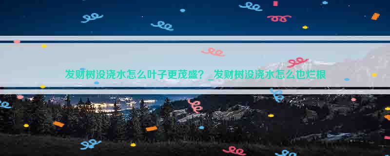 发财树没浇水怎么叶子更茂盛？_发财树没浇水怎么也烂根