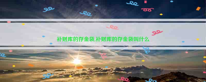 补财库的存金袋,补财库的存金袋叫什么