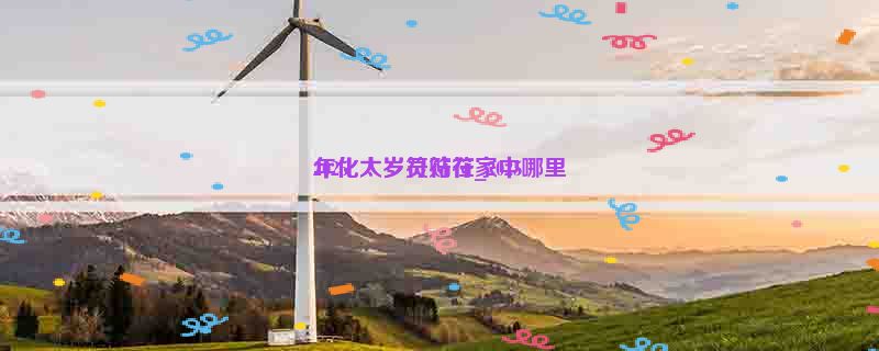 2025
年化太岁灵符符_2025
年化太岁符贴在家中哪里