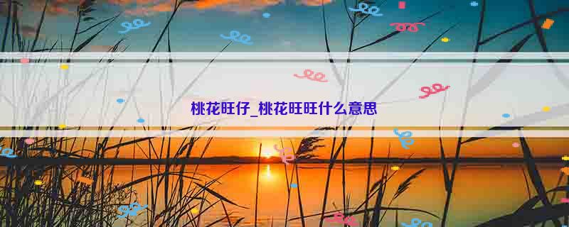 桃花旺仔_桃花旺旺什么意思