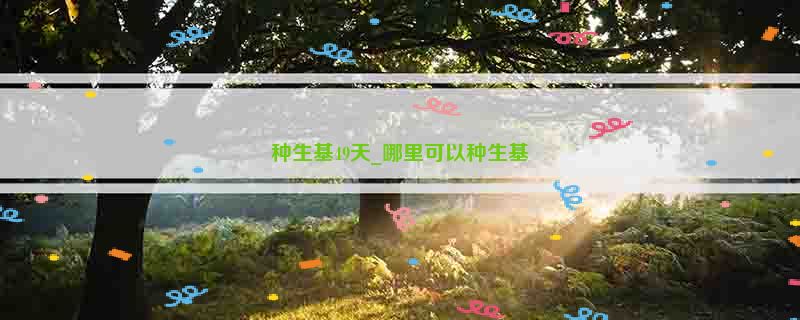 种生基49天_哪里可以种生基