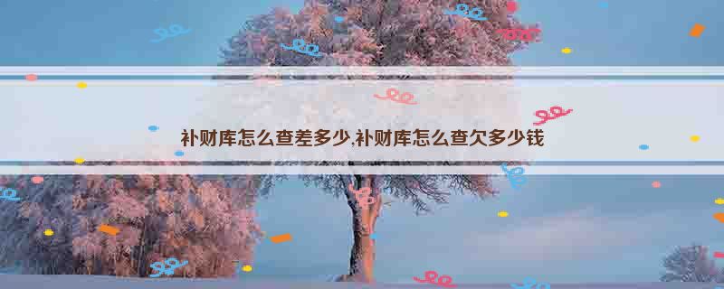 补财库怎么查差多少,补财库怎么查欠多少钱