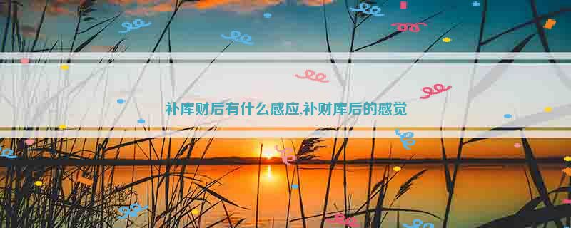 补库财后有什么感应,补财库后的感觉