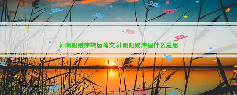 补阴阳财库转运疏文,补阴阳财库是什么意思