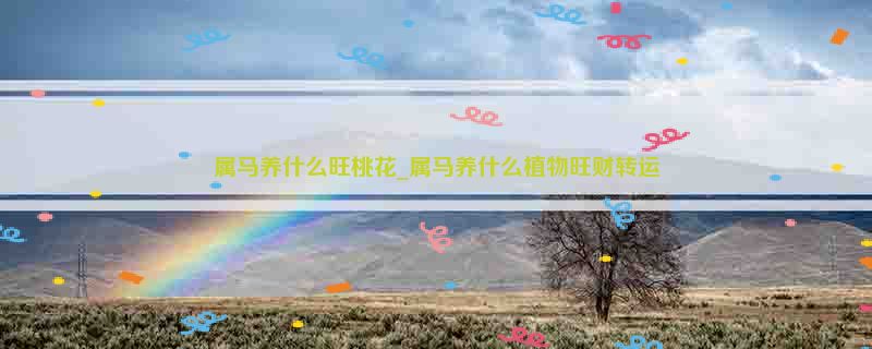 属马养什么旺桃花_属马养什么植物旺财转运