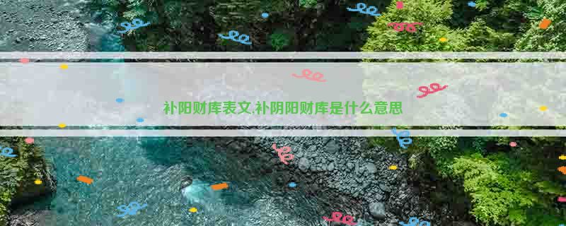 补阳财库表文,补阴阳财库是什么意思