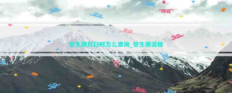 受生债月日时怎么查询_受生债流程