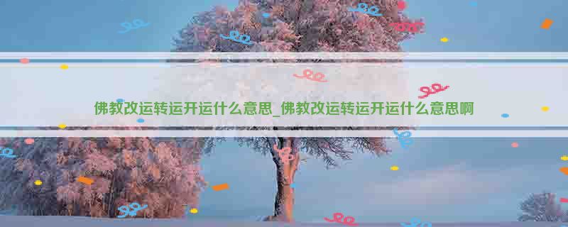 佛教改运转运开运什么意思_佛教改运转运开运什么意思啊