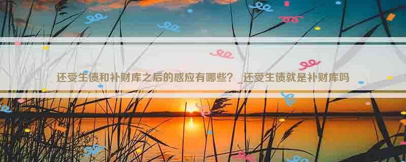 还受生债和补财库之后的感应有哪些？_还受生债就是补财库吗