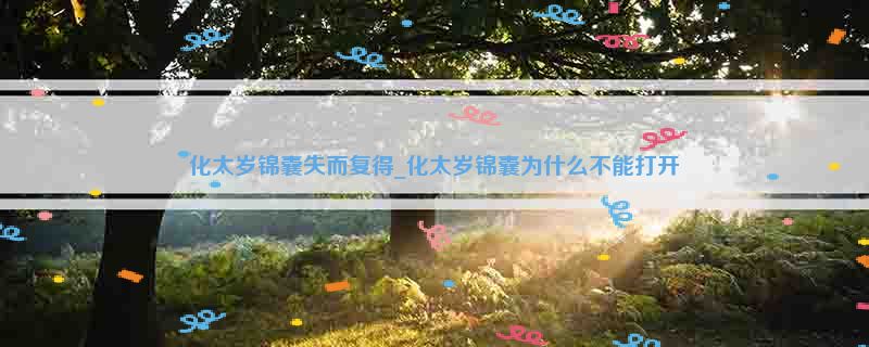 化太岁锦囊失而复得_化太岁锦囊为什么不能打开