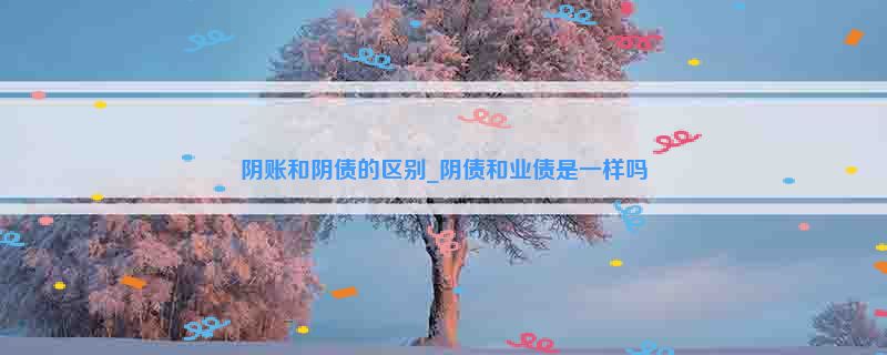 阴账和阴债的区别_阴债和业债是一样吗