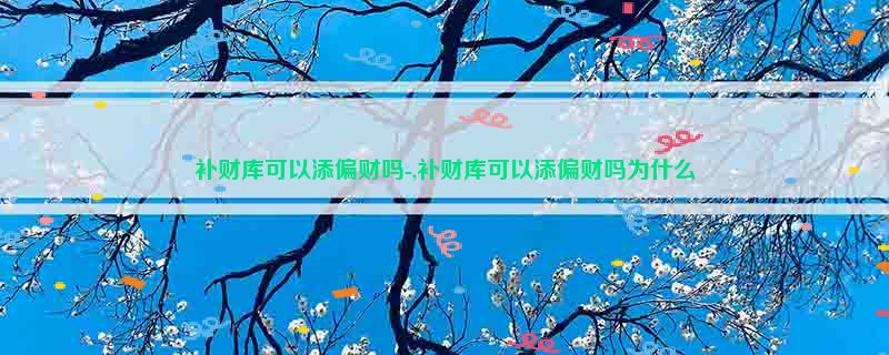 补财库可以添偏财吗-,补财库可以添偏财吗为什么