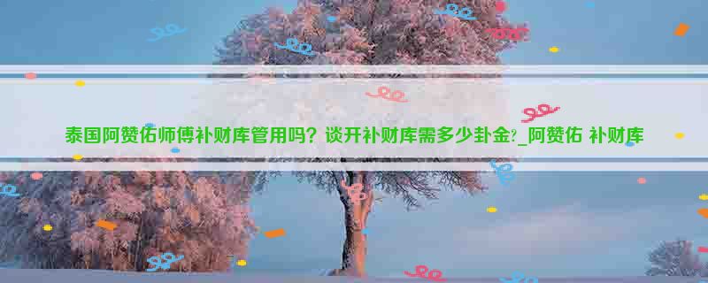 泰国阿赞佑师傅补财库管用吗？谈开补财库需多少卦金?_阿赞佑 补财库