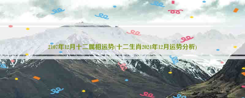 2107年12月十二属相运势(十二生肖2024年12月运势分析)