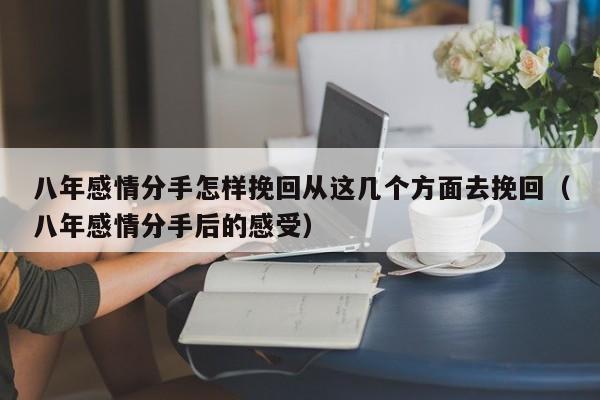 八年感情分手怎样挽回从这几个方面去挽回（八年感情分手后的感受）