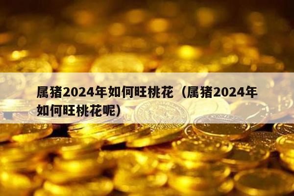 属猪2024年如何旺桃花（属猪2024年如何旺桃花呢）