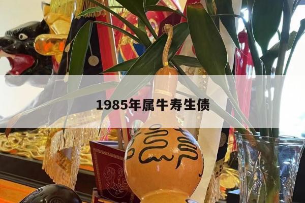 1985年属牛寿生债