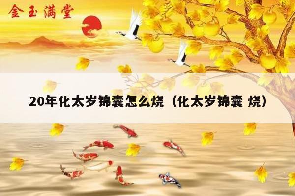 20年化太岁锦囊怎么烧（化太岁锦囊 烧）