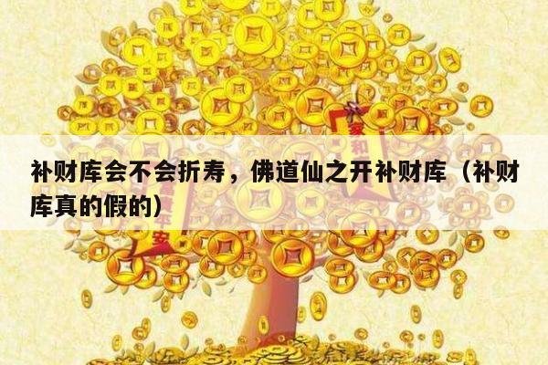 补财库会不会折寿，佛道仙之开补财库（补财库真的假的）