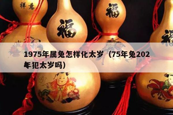 1975年属兔怎样化太岁（75年兔2024
年犯太岁吗）