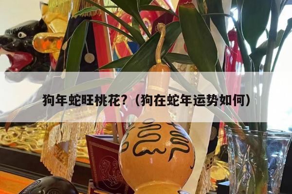 狗年蛇旺桃花?（狗在蛇年运势如何）